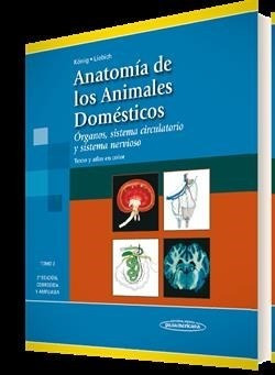 Anatomía De Los Animales Domésticos T.2 Órganos, Sistema Ci