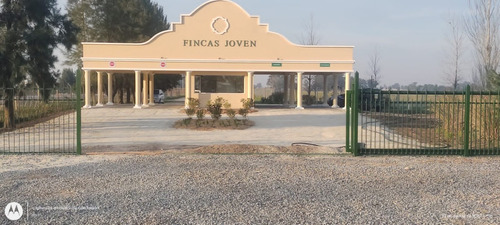 Lotes Fincas De San Vicente, Fincas Joven Financiación