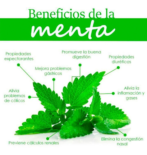 Imagen 5 de 6 de Swiss Just Aceite Esencial De Menta 10ml Producto Original