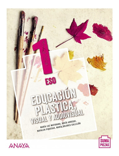 Libro Educación Plástica, Visual Y Audiovisual 1.