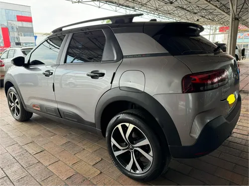 C4 Cactus Shine