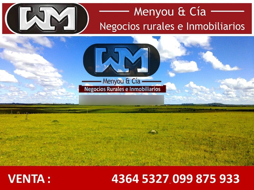 Venta Campo Florida 440ha Mixto Forestal Inmobiliaria Menyou