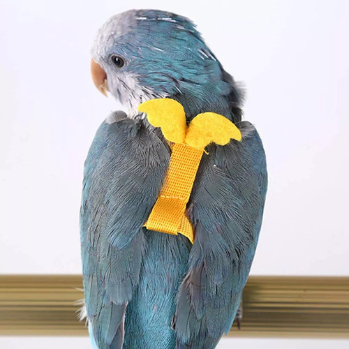 Bn Arnés Y Correa For Pájaros, Periquitos, Cacatúas, Loros