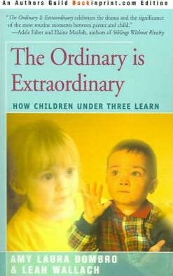The Ordinary Is Extraordinary - Amy Laura Dombro (paperba...