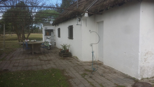 Imagen 5 de 12 de Tremendas Ofertas, Se Venden Dos Enormes Galpones 550 M2 Y En Otro Padrón Una Casa Campo De 93 M2. En Zona Muy Tranquila A Solo 30 Minutos De Montevidieo