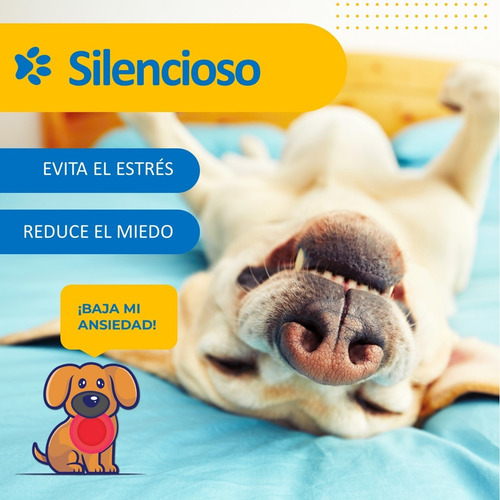 Imagen 3 de 10 de Maquina Corta Pelo Mascotas Perro Gato Kit Completo - Petpal