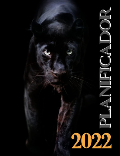 Libro: Planificador Diaro 2022: Hermosa Pantera Negra. Agend