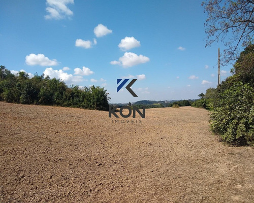 Imagem 11 de 16 de Área Industrial A Venda Em Araucária Pr - Te00004 - 68900873