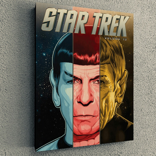 Cuadro De Serie Star Trek Spock Timeline 30x40x4cm