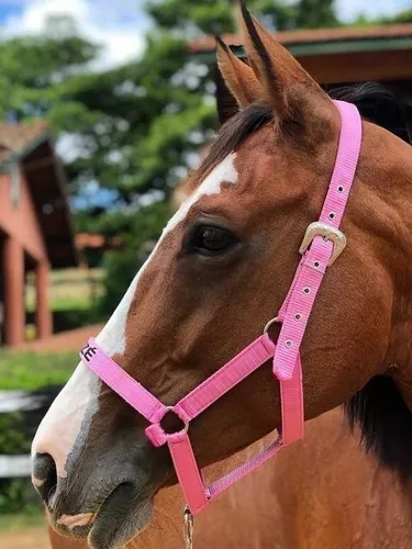 Cabresto para Cavalo Personalizado – Herts Brasil Rural