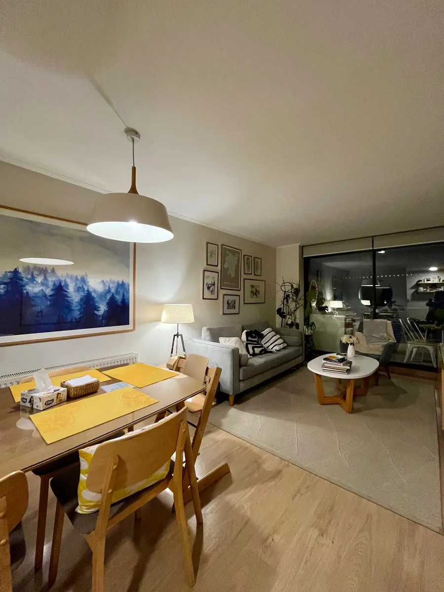 Imagen 4 de 25 de Venta Precioso Depto 3 D Providencia (173650)