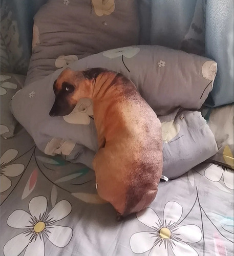 Almohada De Perro Simulación 3d Almohada De Peluche Shapi Al