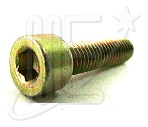 Tornillo (237) Seguro C/polea Ciguenal D/1 7 Duna