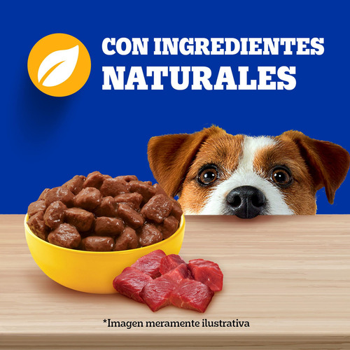 Pedigree Alimento Húmedo En Sobre Perro Raza Peq Carne 12un