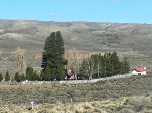 Campo - Tecka