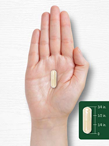 Suplemento Carlyle White Kidney Bean Carb Blocker 6000mg