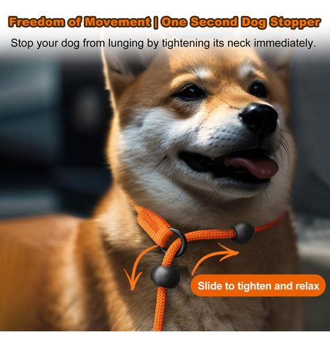 Correas Antideslizantes Para Perros, Correa Para Perros, Cor