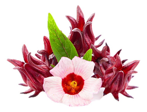 Flor De Jamaica / Hibiscus Infusión Confitada 500 Gramos