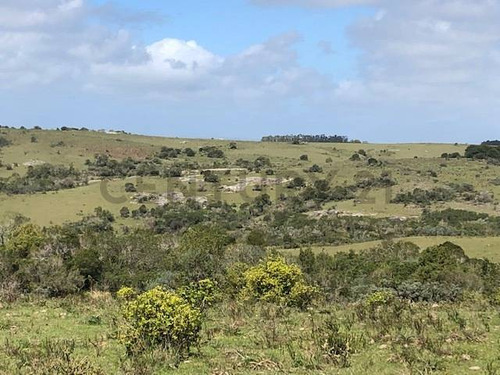 Campo En Venta En Garzon