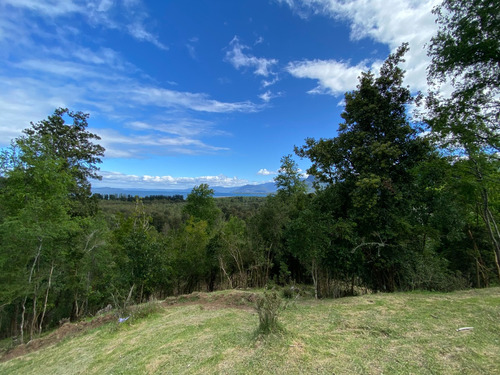 Linda Vista Al Lago Ranco, Ideal Para Proyecto Turístico