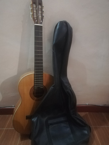 Guitarra Acústica Y Teclado Casio 