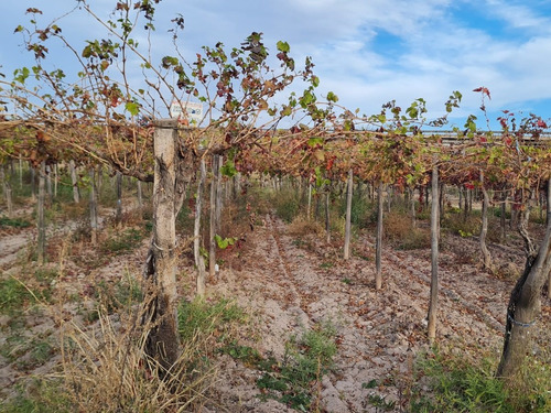 Imagen 25 de 30 de Finca Disponible En Fracciones Ideal Para Galpones O Loteo