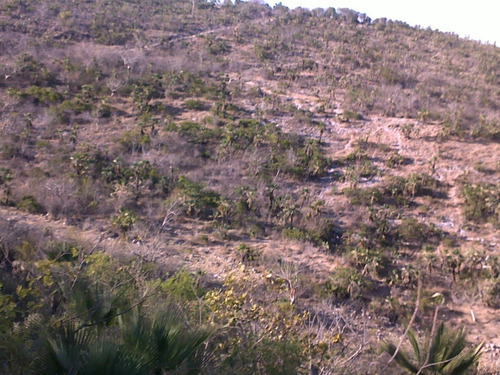 Terreno Rústico En Venta 398 Hectáreas En Chilpancingo Guerrero