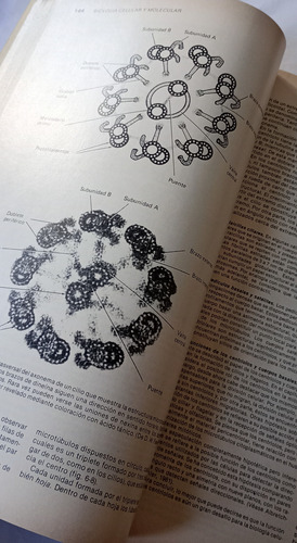 Biologia Celular Y Molecular De Robertis El Ateneo 1992 (Usado)