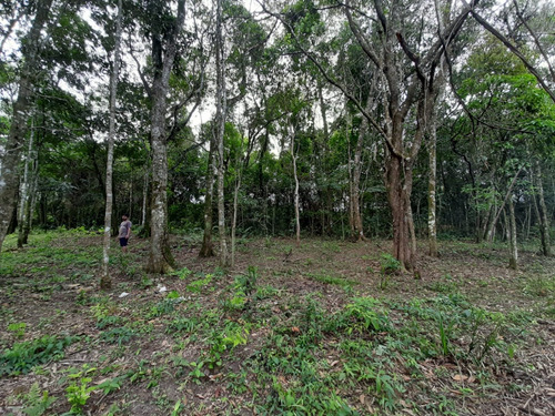 Terreno À Venda Em Ibiúna Próximo À Represa, Excelente Localização