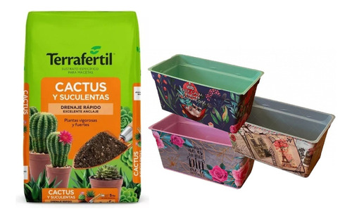 Combo Cactus Suculentas Sustrato+3 Macetas Estampadas 20cm