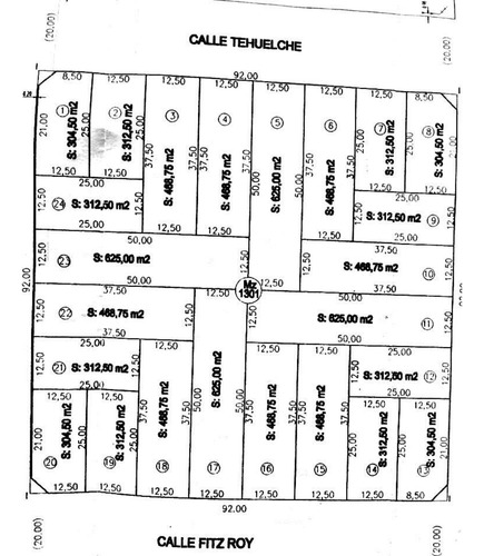 Lote | Tehuelche