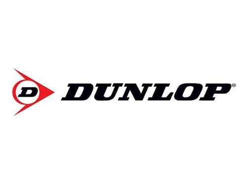 Kit 2 Pneus Dunlop Aro 15 195/55r15 Sp Sport Fm800 85v