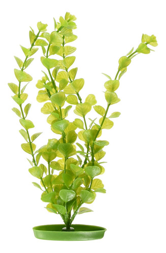 Marina Aquascaper Moneywort Planta Grande, 12.0 In