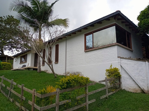 Imagen 13 de 22 de Vendo Finca Bitaco