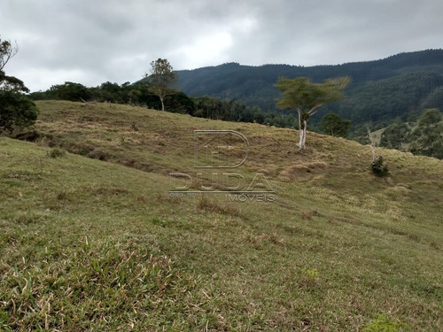 Imagem 9 de 15 de Sitio - Fazenda Rio Das Garcas - Ref: 32161 - V-32158