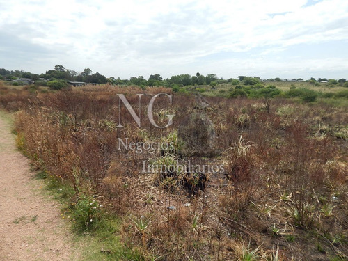 Imagen 9 de 14 de 3 Padrones De Campo Para Inversión!