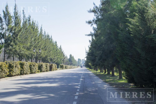 Imagen 2 de 8 de Lote En Venta En Área 3 En San Matias