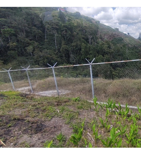 Terreno En Venta Sector TejerÃas La Colonia Tovar 25-1102 Mfc