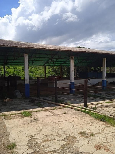 Imagen 7 de 14 de Venta Finca Estado Lara, Municipio Crespo