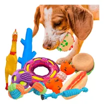 Comprar Juguetes Mordibles Para Perro  Kit De 10 Piezas Variadas 