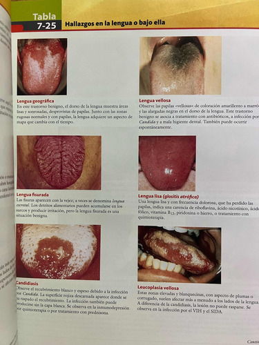 Guia Exploracion Fisica E Historia Clinica, Bickley. 11a Ed. (Usado)