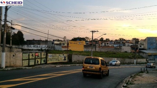 Imagem 5 de 7 de Ótima Área - Mr53741