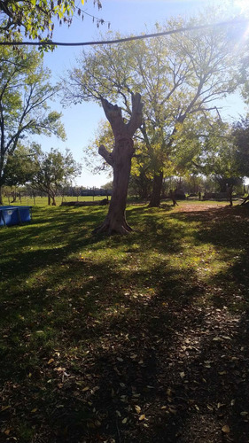 Imagen 8 de 9 de Venta Campo - Zona Talita - Concepcion Del Uruguay