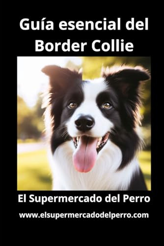 Guía Esencial Del Border Collie: El Supermercado Del Perro