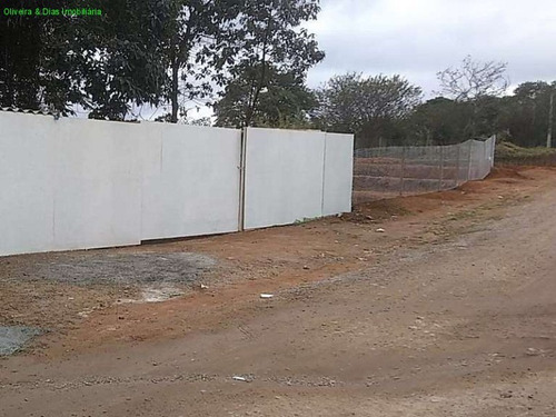 Imagem 15 de 17 de Terreno - Te00083 - 69863381