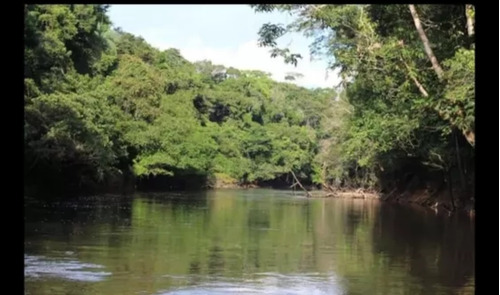 Vendo Selva Virgen Sea De Los Pocos En El Mundo En Tenerla 