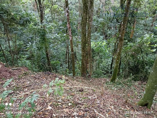 Imagem 5 de 20 de Terrenos Em Condomínio À Venda Em Atibaia/sp - Compre O Seu Terrenos Em Condomínio Aqui! - 1491575