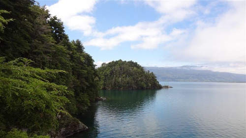 Imagen 4 de 30 de Sitio En Venta En Puyehue