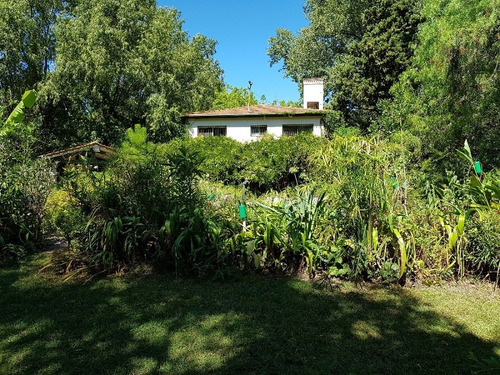Casa Clásica Con Amplios Ambientes, El Triangulo