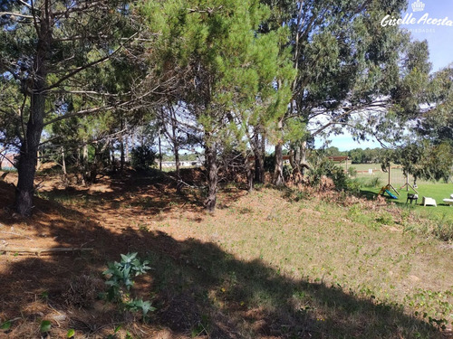 Lote Venta Costa Esmeralda Polo